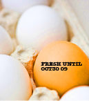fresh eggs in carton