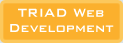 TRIAD Web Development