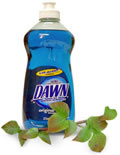 Poison Ivy an Dawn dishwashing detergent