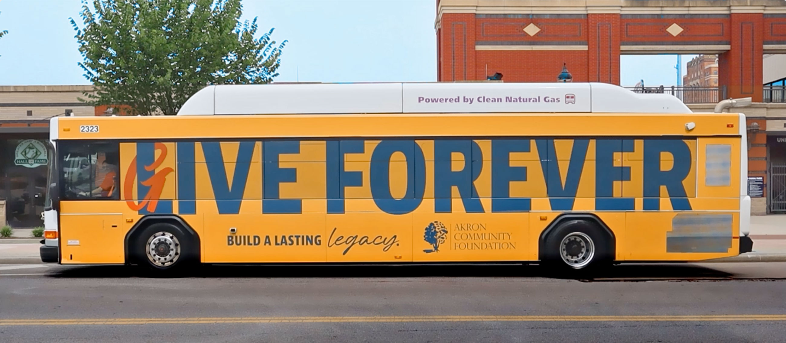 bus