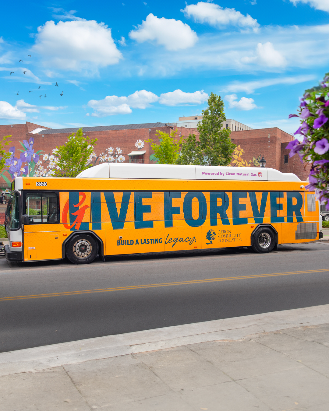 bus