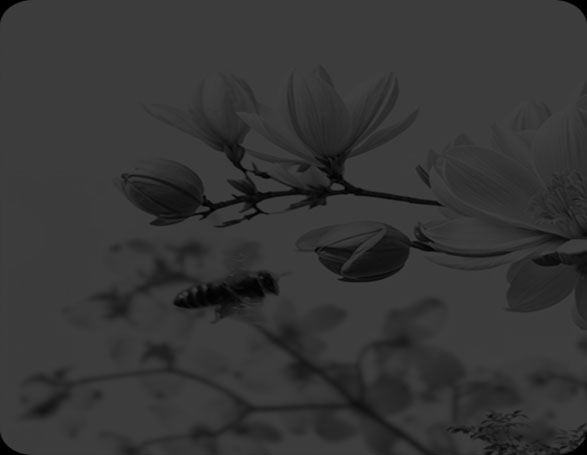 bee by flowers