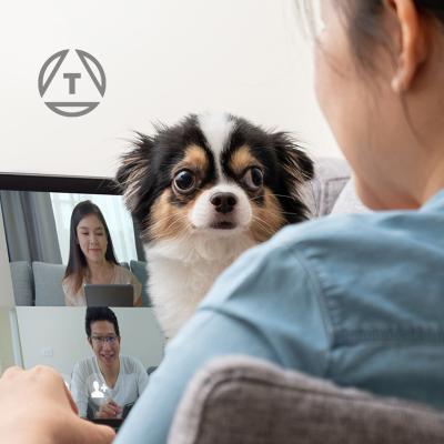 Being A Better Video Meeting Member